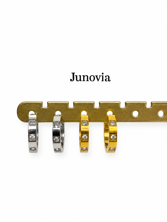 Aria Hoop Earrings